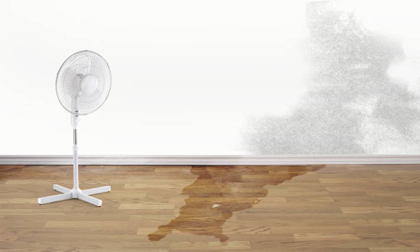 Best Flooded house restoration  in Gladeville, TN