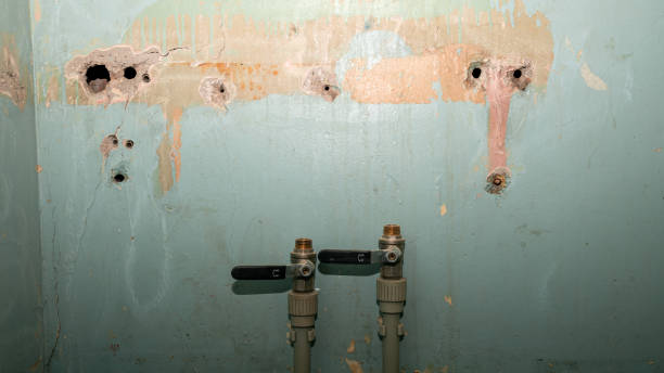 Best Commercial water damage restoration  in Gladeville, TN
